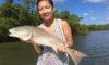 Marco Island Fishing Charters, A Journey You Must Do